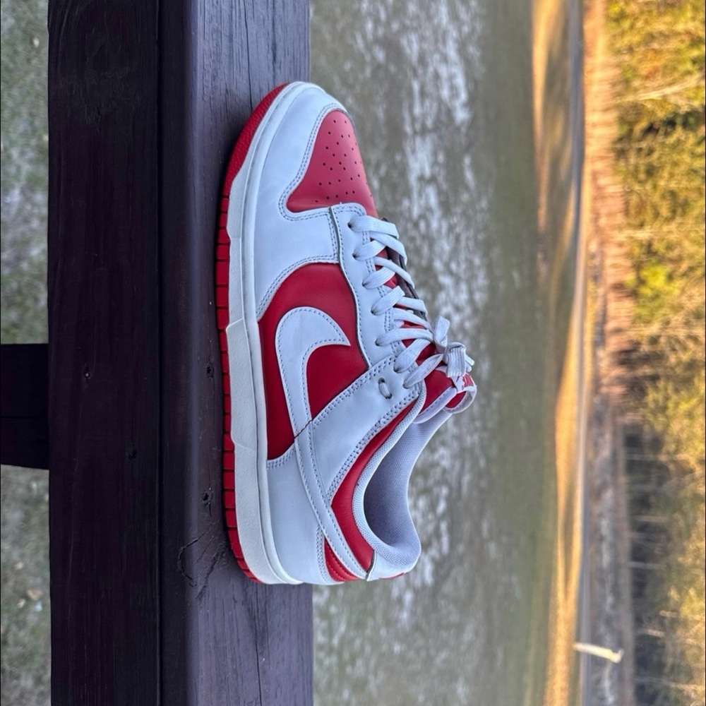 Nike Dunks Low “Championship”